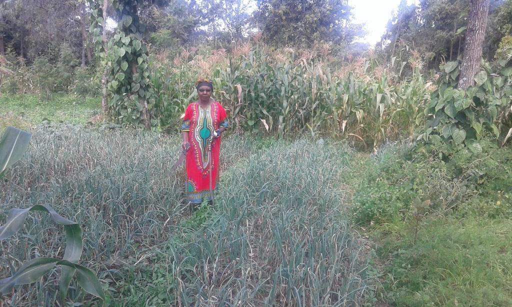 Kepro Farm Nairobi
