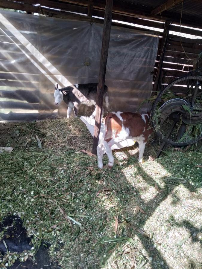 Kepro Farm * Nairobi